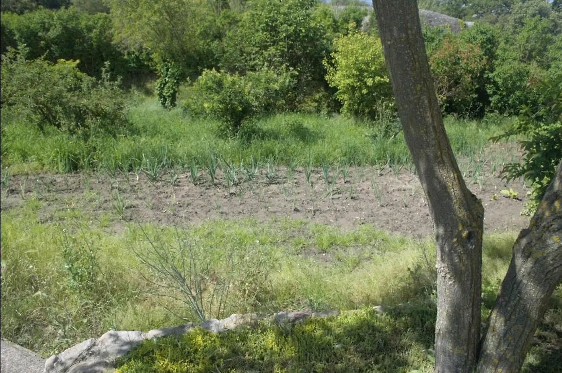 Masoveria la Roca Sagas